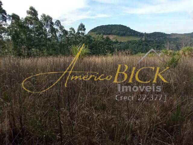 #1347 - Chácara para Venda em Santa Cruz do Sul - RS - 3