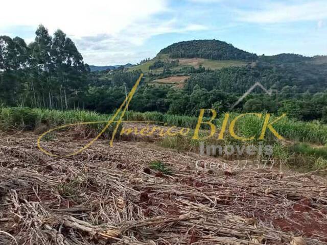 #1347 - Chácara para Venda em Santa Cruz do Sul - RS - 2