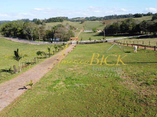 Venda em Cerro Alegre Alto - Santa Cruz do Sul