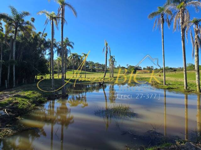 Venda em Cerro Alegre Alto - Santa Cruz do Sul