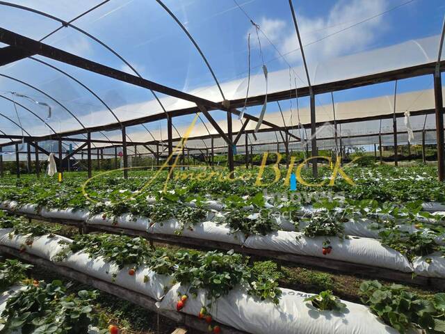 Venda em Vila Progresso - Vera Cruz