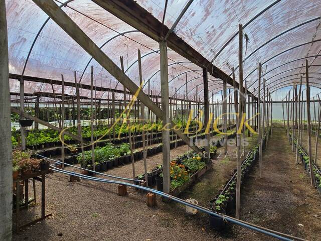 #1382 - Chácara para Venda em Vera Cruz - RS - 3