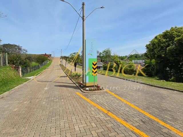 Venda em Linha Santa Cruz - Santa Cruz do Sul
