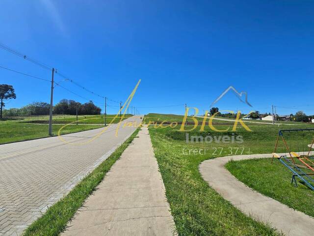 Venda em Linha Santa Cruz - Santa Cruz do Sul