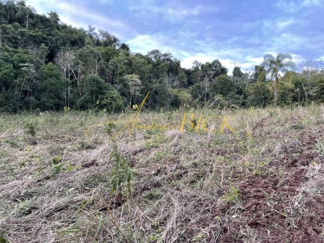 Chácara para Venda em Santa Cruz do Sul - 4