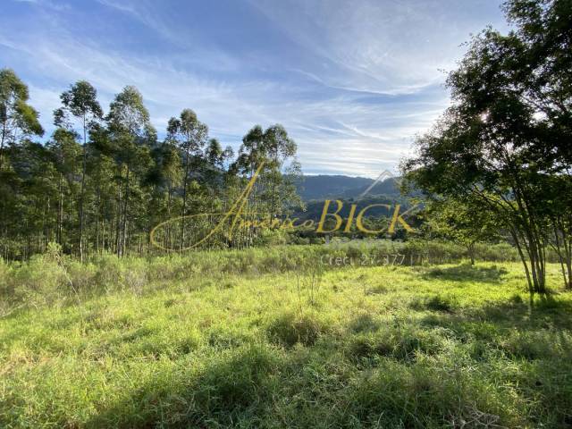 #1419 - Chácara para Venda em Santa Cruz do Sul - RS - 2