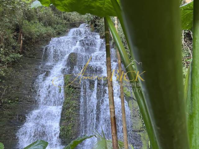 #1424 - Chácara para Venda em Santa Cruz do Sul - RS - 3