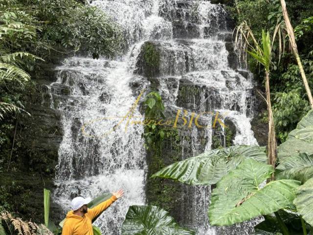 #1424 - Chácara para Venda em Santa Cruz do Sul - RS - 2