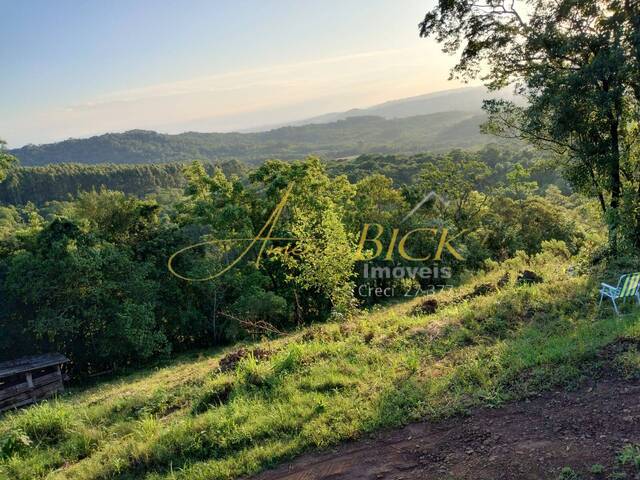 #1455 - Chácara para Venda em Santa Cruz do Sul - RS - 2