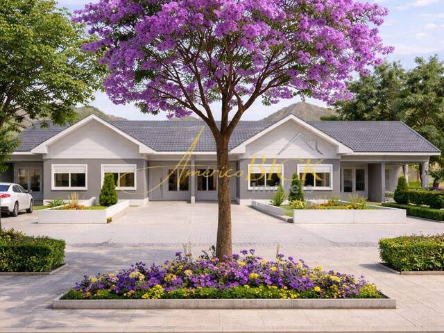 #1453 - Geminado para Venda em Santa Cruz do Sul - RS - 3