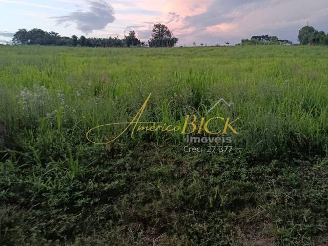 #908 - Chácara para Venda em Passo do Sobrado - RS - 2