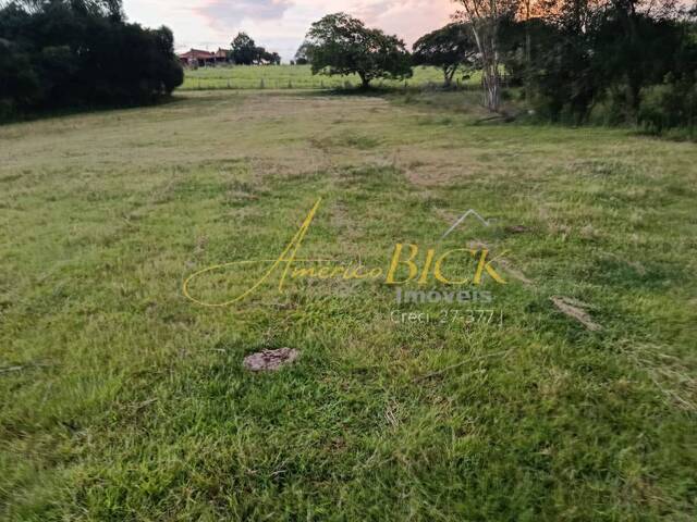 #908 - Chácara para Venda em Passo do Sobrado - RS - 3