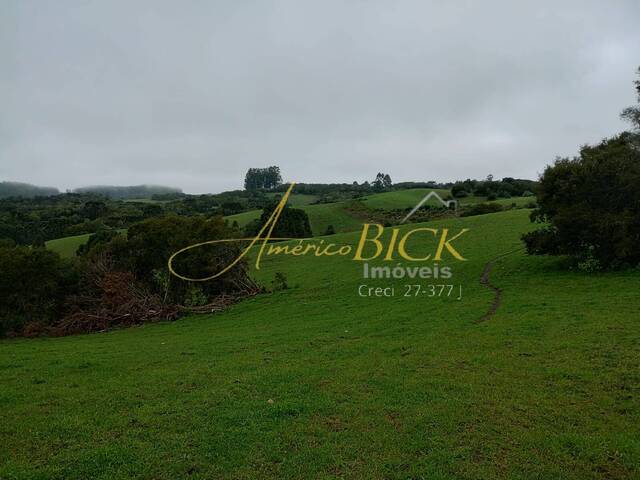 #910 - Chácara para Venda em Encruzilhada do Sul - RS - 3