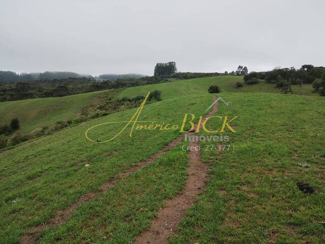 #910 - Chácara para Venda em Encruzilhada do Sul - RS - 2