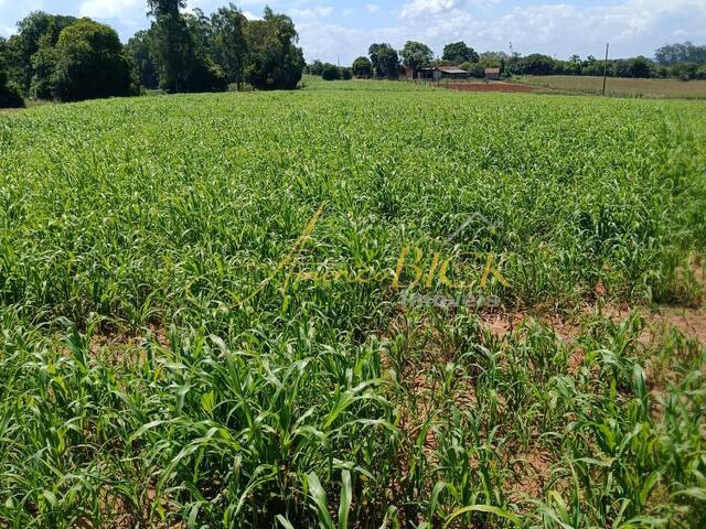 #911 - Chácara para Venda em Rio Pardo - RS - 2