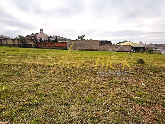 Terreno para Venda em Santa Cruz do Sul - 4
