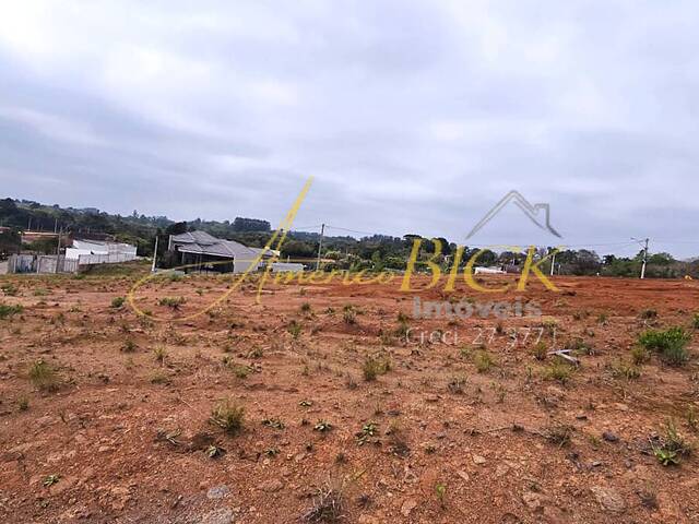 #T-025 - Terreno para Venda em Santa Cruz do Sul - RS