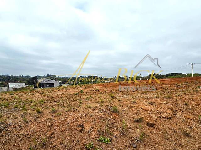 Terreno para Venda em Santa Cruz do Sul - 5