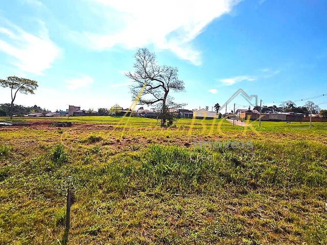 Terreno para Venda em Santa Cruz do Sul - 4