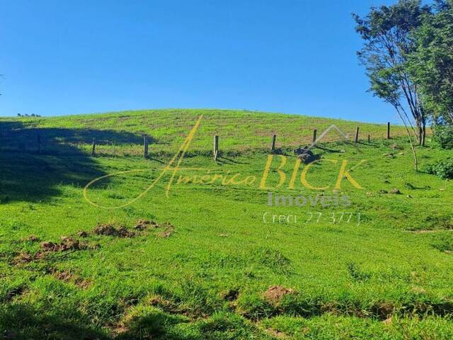 #1021 - Chácara para Venda em Passo do Sobrado - RS - 3