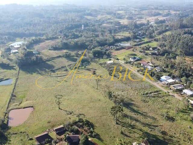 #748 - Chácara para Venda em Santa Cruz do Sul - RS - 3