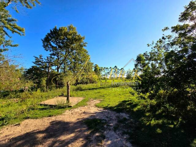 Chácara para Venda em Santa Cruz do Sul - 5