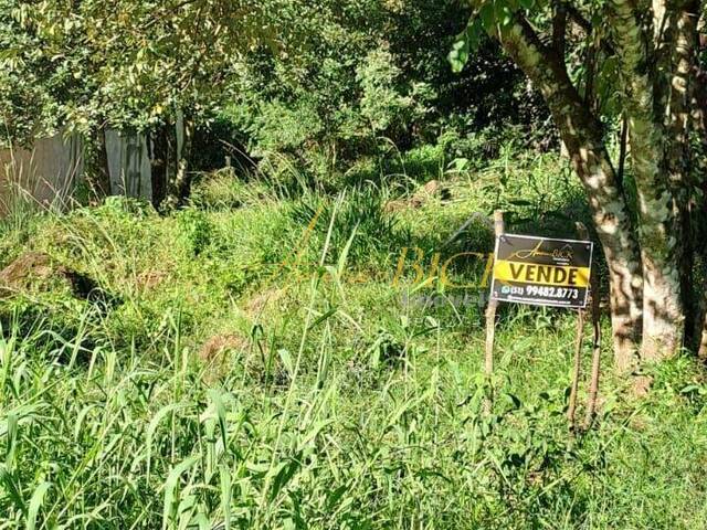 Terreno para Venda em Santa Cruz do Sul - 4