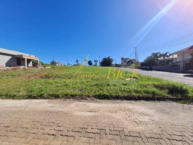 Terreno para Venda em Santa Cruz do Sul - 2