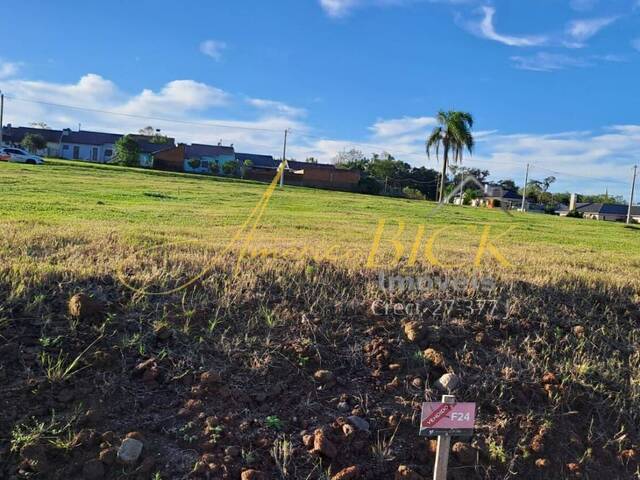Terreno para Venda em Santa Cruz do Sul - 2