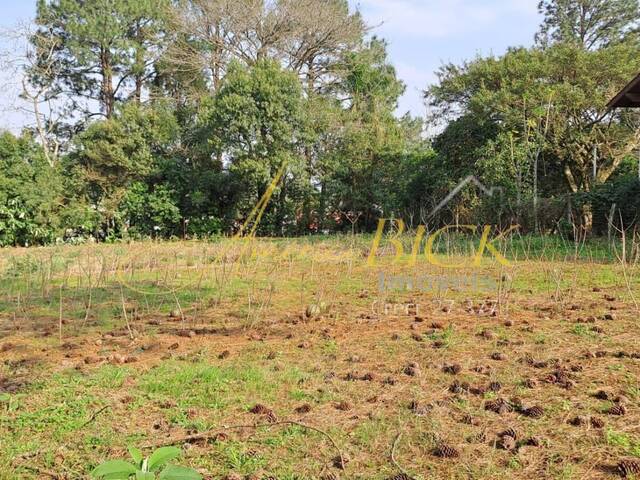 Terreno para Venda em Santa Cruz do Sul - 2