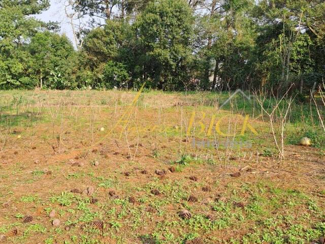 Terreno para Venda em Santa Cruz do Sul - 3