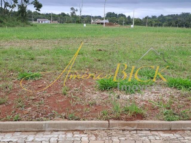 Terreno para Venda em Santa Cruz do Sul - 3