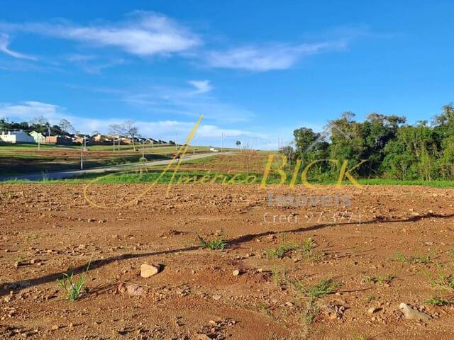 Terreno para Venda em Santa Cruz do Sul - 2