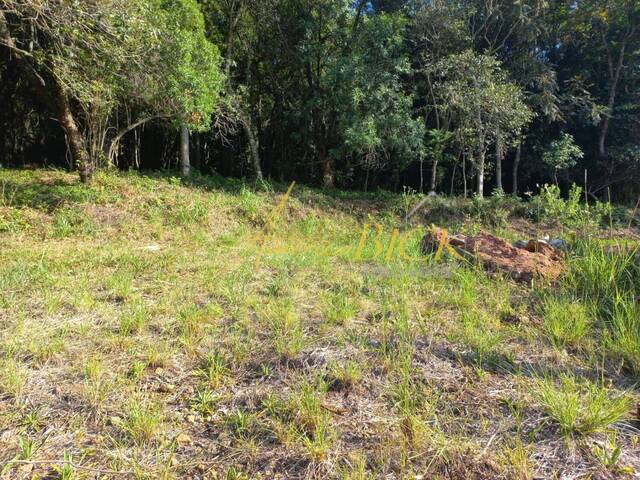 Terreno para Venda em Santa Cruz do Sul - 3