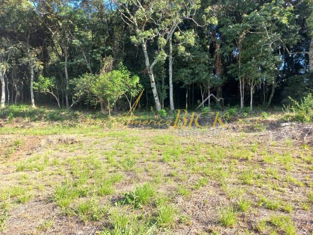 Terreno para Venda em Santa Cruz do Sul - 4