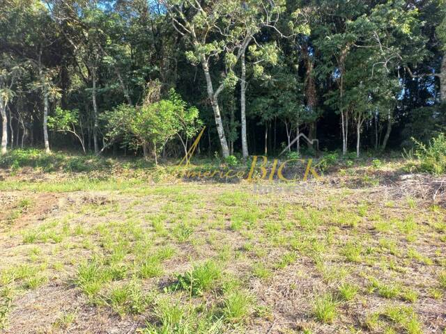 Terreno para Venda em Santa Cruz do Sul - 2