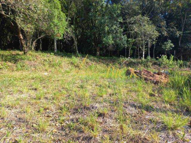 Terreno para Venda em Santa Cruz do Sul - 3