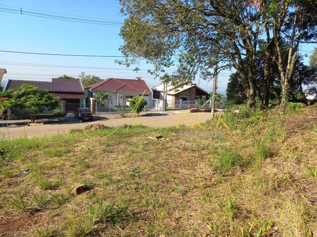 Terreno para Venda em Santa Cruz do Sul - 4