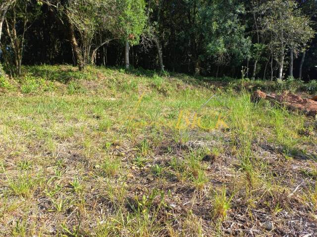 Terreno para Venda em Santa Cruz do Sul - 5