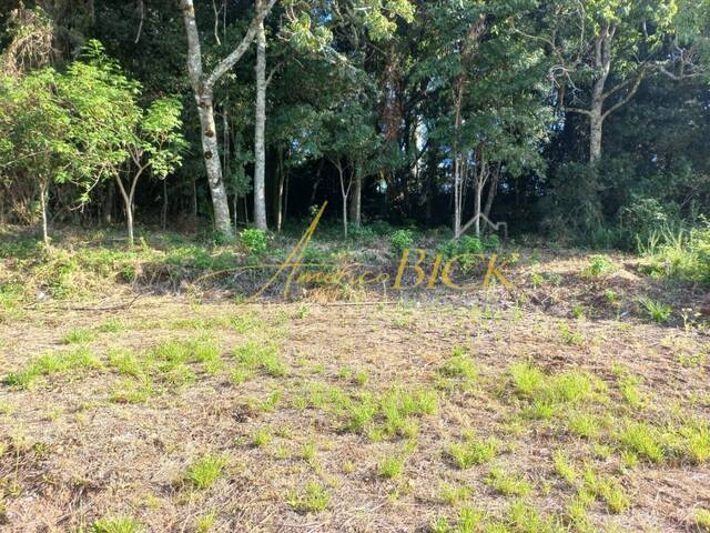 Terreno para Venda em Santa Cruz do Sul - 2