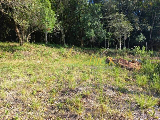 Terreno para Venda em Santa Cruz do Sul - 4