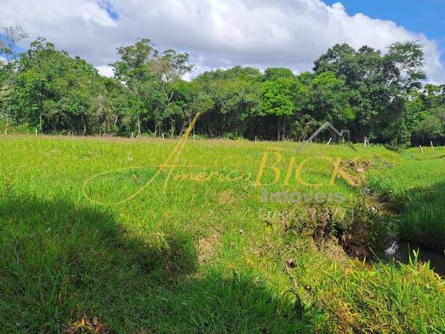 Chácara para Venda em Santa Cruz do Sul - 2