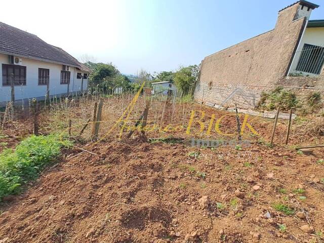 Terreno para Venda em Santa Cruz do Sul - 2