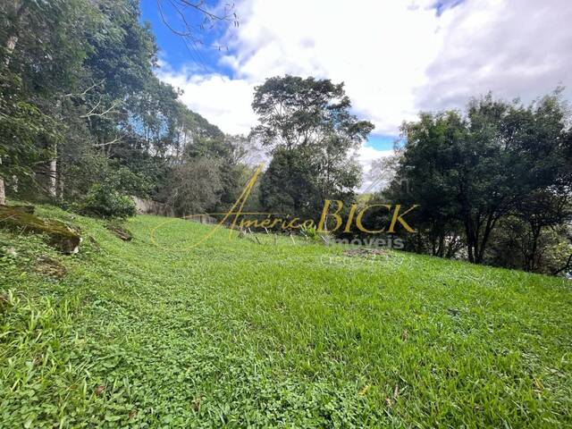 Terreno para Venda em Santa Cruz do Sul - 2