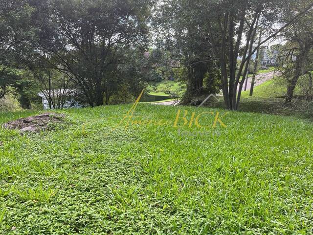 Terreno para Venda em Santa Cruz do Sul - 3