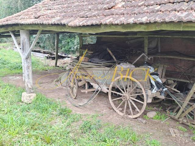 #791 - Chácara para Venda em Passo do Sobrado - RS - 1