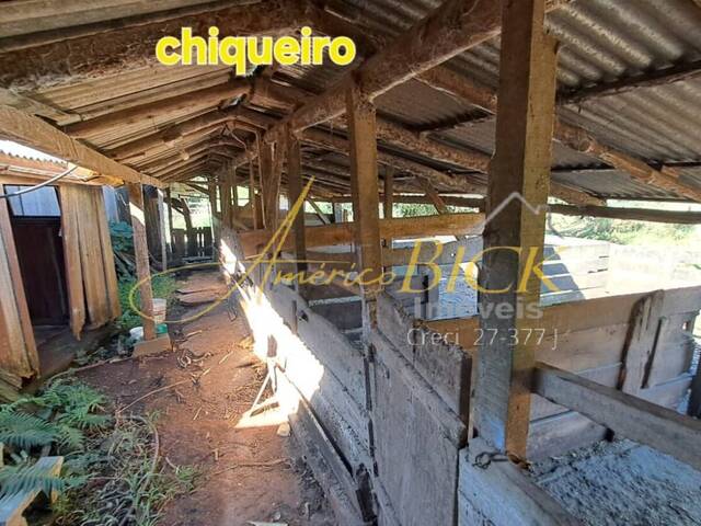 #667 - Chácara para Venda em Sinimbu - RS - 2