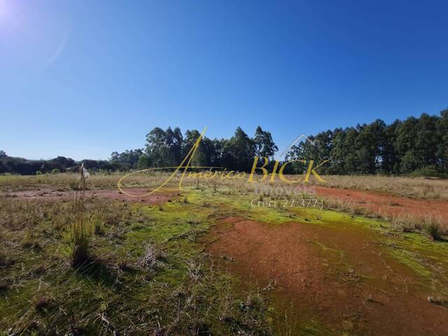 Terreno para Venda em Vera Cruz - 5