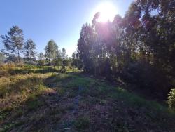 #434 - Terreno para Venda em Vera Cruz - RS - 2