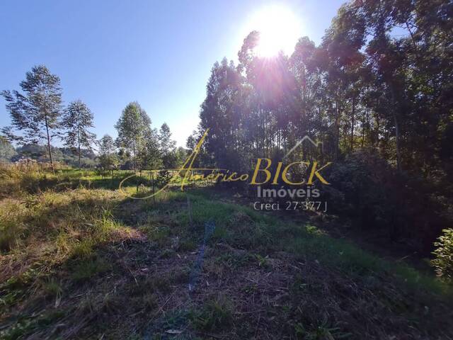 Terreno para Venda em Vera Cruz - 4